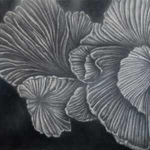 HONGOS NEGROS II